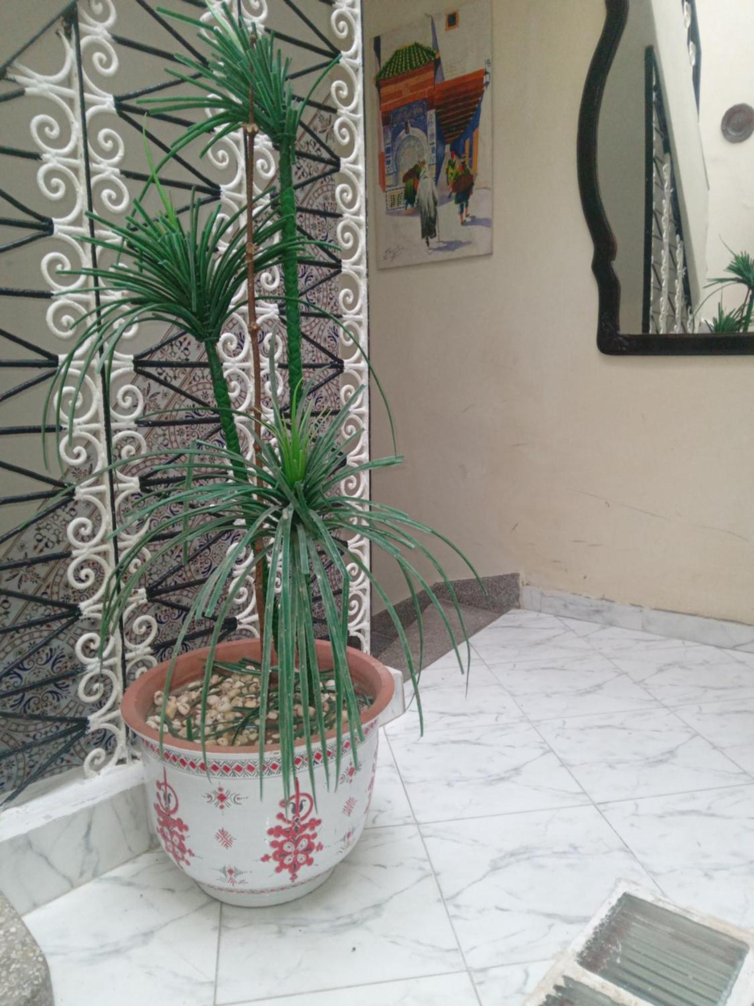Riad Kamal 라바트 외부 사진